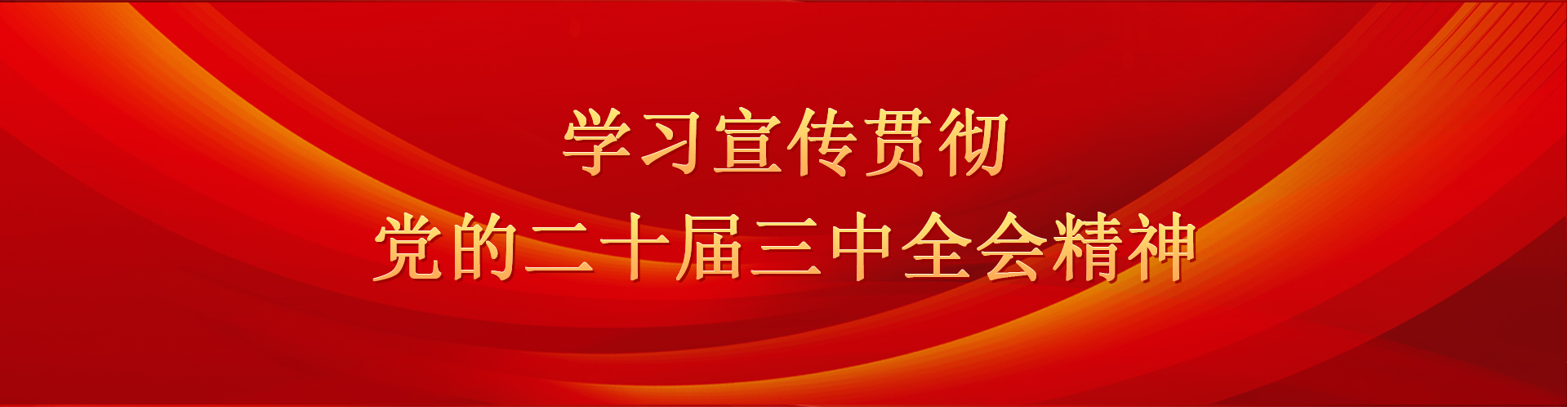 学习宣传贯彻党的二十届三中全会精神